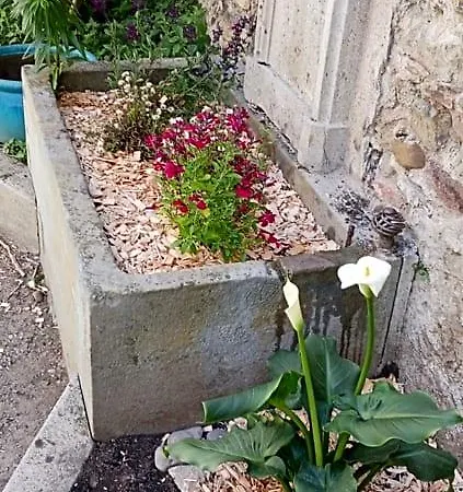 Le 9 De Cour, Chaco Bed & Breakfast