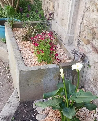 Le 9 De Cour, Chaco 3* Carcassonne